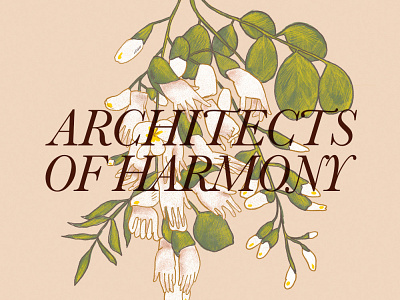 Architects of Harmony branding illustration label design procreate typography