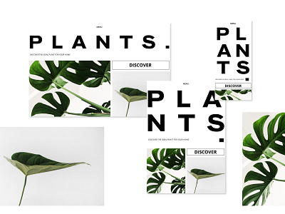 Discover Plants for your Home design diseñoweb home decor home design nature design plants responsive design ui ui design webinterface