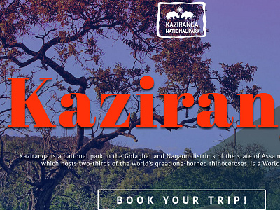 Kaziranga - Landing page concept dailyui home page landing page travel web design