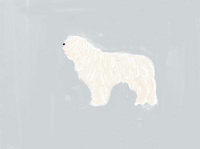 Komondor Dog animal crayon design dog illustration