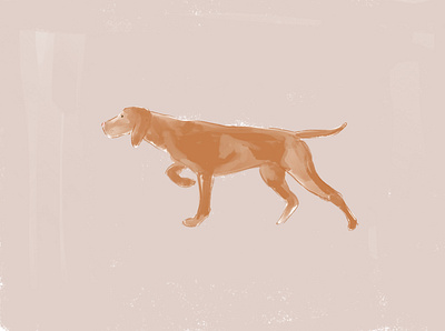 Magyar vizsla Dog animal crayon design dog illustration