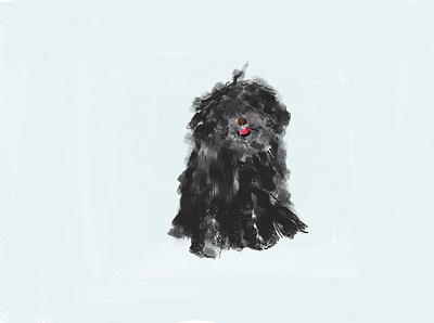 Puli dog animal crayon dog illustration