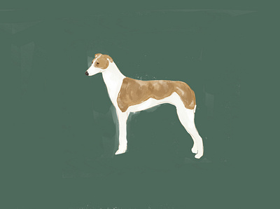 Magyar Agár Dog animal crayon design dog illustration