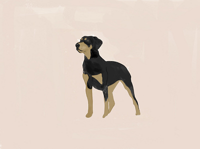Erdélyi kopó Dog animal crayon dog dog illustration illustration pets
