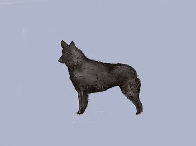 Mudi Dog animal crayon design dog illustration