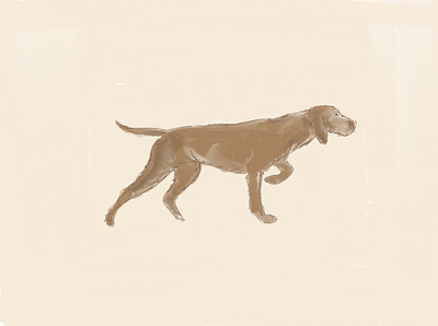 Drótszőrű magyar Vizsla Dog animal crayon design dog illustration