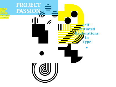 Project Passion Call for Entries Website call for entries code competition exhibition responsive show type typography ui website