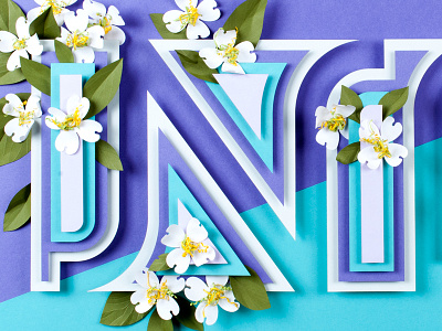 North Carolina - Paper State Flowers 3d dimensional laser letterforms n paper shapes typography