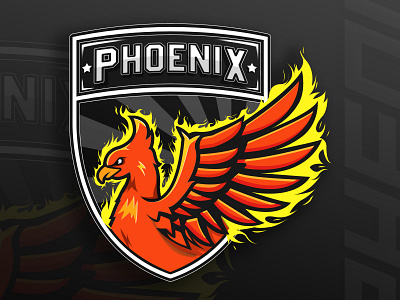 Phoenix logo bird fire illustration logo phoenix logo pop race vector vectorart