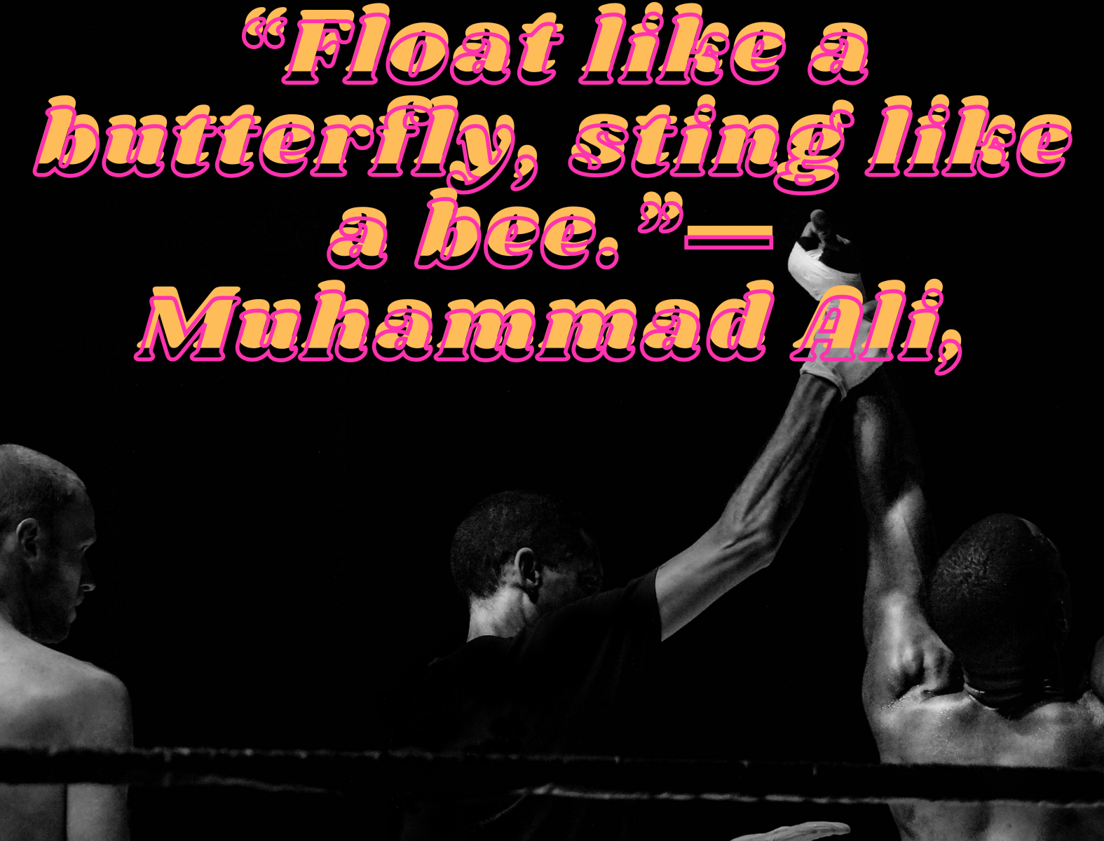 Fly Like A Butterfly Sting Like A Bee Rap Song