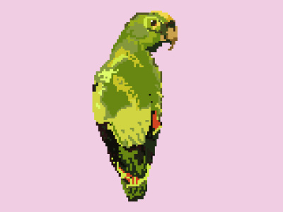 Amazona Real Pixel Art