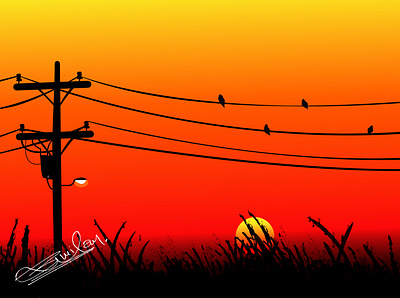 Sunset design flat illustration vector