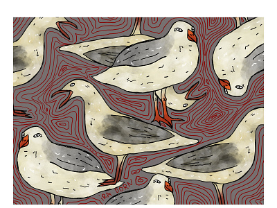 postcard design | GULLS