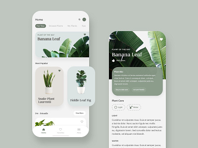 Plants app clean color concept design flat home ios minimal plant plants simple ui uiux ux