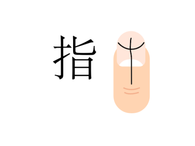 指甲 （nail）