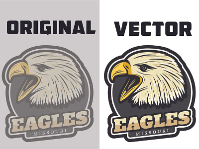 I will manual vector tracing, redraw, image or logo to vectorize
