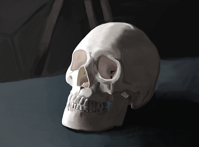 Skull Still Life adobe adobe photoshop digital art digital painting illustraion illustration painting photoshop skull skull art still life