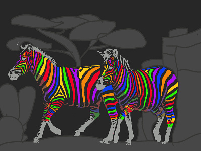 zebra