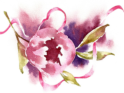 Peonies botany buds flora flowers nature peonies watercolor