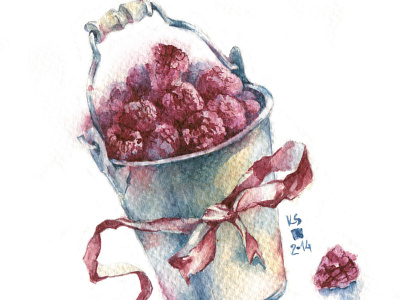 Food Illustrations berries bucket food illustration raspberries summer watercolor