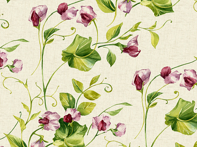 "Sweet Pea" Watercolor Pattern background botany flora flowers pattern seamless sweet peas watercolor