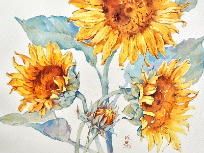 Botanical Illustration 5 botany flora flower summer sunflowers watercolor