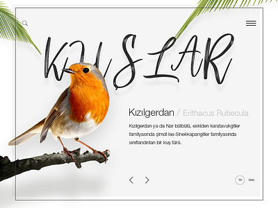 Kuşlar/Birds design landing landing page minimal minimal website minimalist ui ux web design webdesign