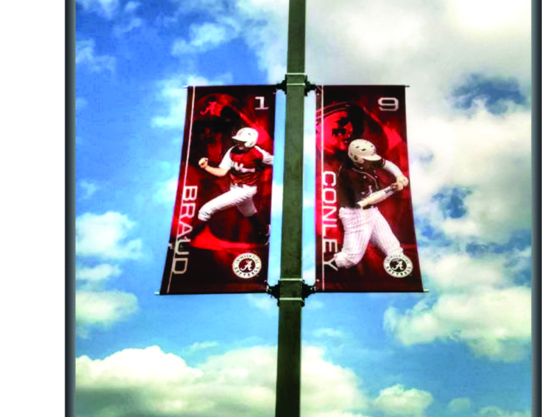 UofA Softball Banners by Jordan Tippett on Dribbble