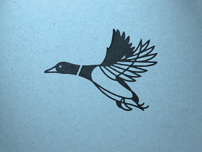Mallard design duck illustration lines