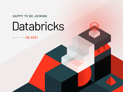 Next Chapter branding data databricks design illustration isometric