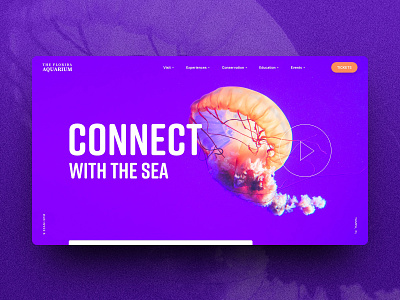 Site Concept / Aquarium aquarium design minimal ocean purple ui ux web web design website