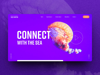 Site Concept / Aquarium