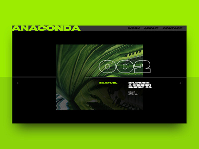 A N A C O N D A branding design ui ux web web design