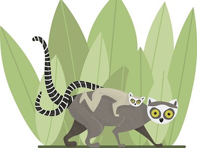 Lemurs animal design illustration lemur vector