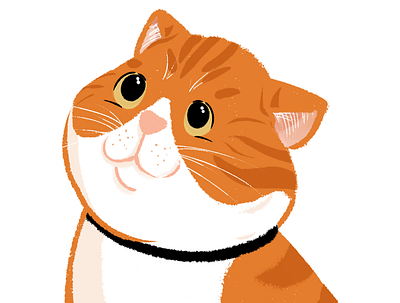 MAXIMUS CAT art artist brushes cat catlover catlovers characterdesing doodle draw gato illustration ilustración oc