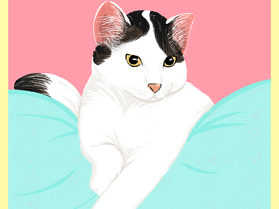 Clarita - CAT adorable animal cat cats character cute design illustration kitty lovely pet