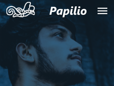 Papilio - Localized Tech Bootcamps app bootcamp service design ui web