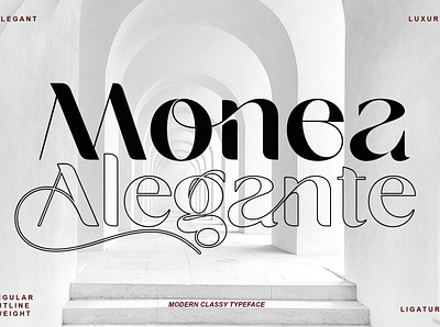 Monea Alegante branding contrast font daily type decorative font design elegant luxury modern font monea alegante monea alegante sansakerta typeface typogaphy website design