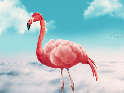 Flamingo Clouds - Photo Manipulation