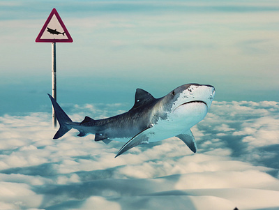 Shark Sign Photo Manipulation clouds collage digital imaging digitalart editing ideas illustration manipulation photo edit photomanipulation