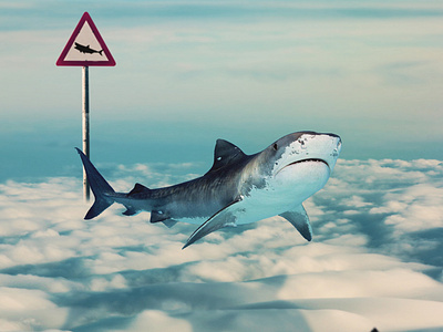 Shark Sign Photo Manipulation