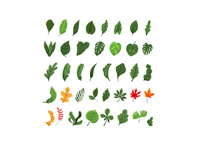 Leaf Vector Collection graphic design