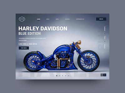 Harley Davidson Hero Section bikes designs editions hero section landing page ui landingpage layout motorbike uiux website
