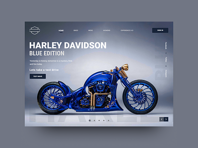 Harley Davidson Hero Section