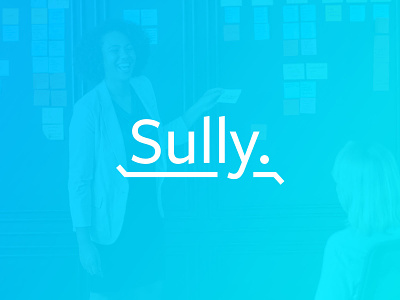 Sully - Your Money Saving Pal. app brand branding design finance fintech graphic identity illustration logo mark mobile tech tech company typography wip