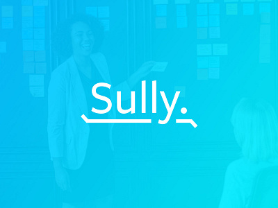 Sully - Your Money Saving Pal.