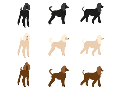 Poodle Development - Poodles & Pals animal illustration design designer dog illustration dogs graphic design illustration logo design poodle illustration poodles