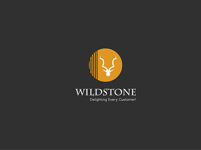 Wild Stone Interior Logo Design