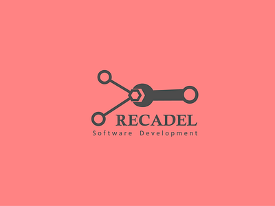 Recadel; Software Development Company