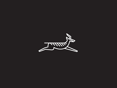 Springbok branding charleston coffee identity illustration logo